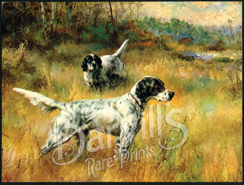 Vintage Calendar Prints Of Dogs Hunting Dogs Etc