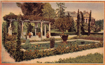 A Pergola in Pasadena