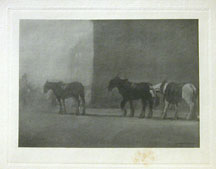 Trace Horses on a Foggy Day