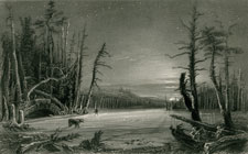 Winter Scene on the Caterskills