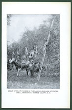 Group of Fruit Pickers in the Baldwin Orchard of Foster Udell, Brockport, Monroe County, N.Y.
