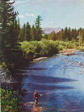 Kodachrome fishing on river