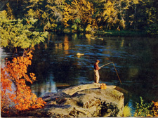 Fall fishing scene