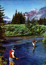 untitled fishing print