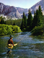 Angling in Glacier Park