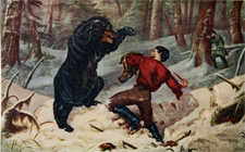 Bear knife fight