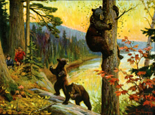 Bears getting honey/bees