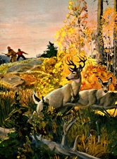 Vintage hunting prints