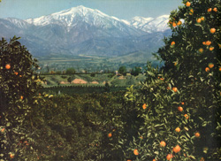 Vintage calendar art print of beautiful landscapes