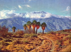 Vintage calendar art print of beautiful landscapes