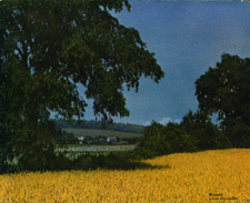 Vintage calendar prints of landscapes, village scenes, etc.