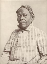 Paronga (Javanese Carpenter)