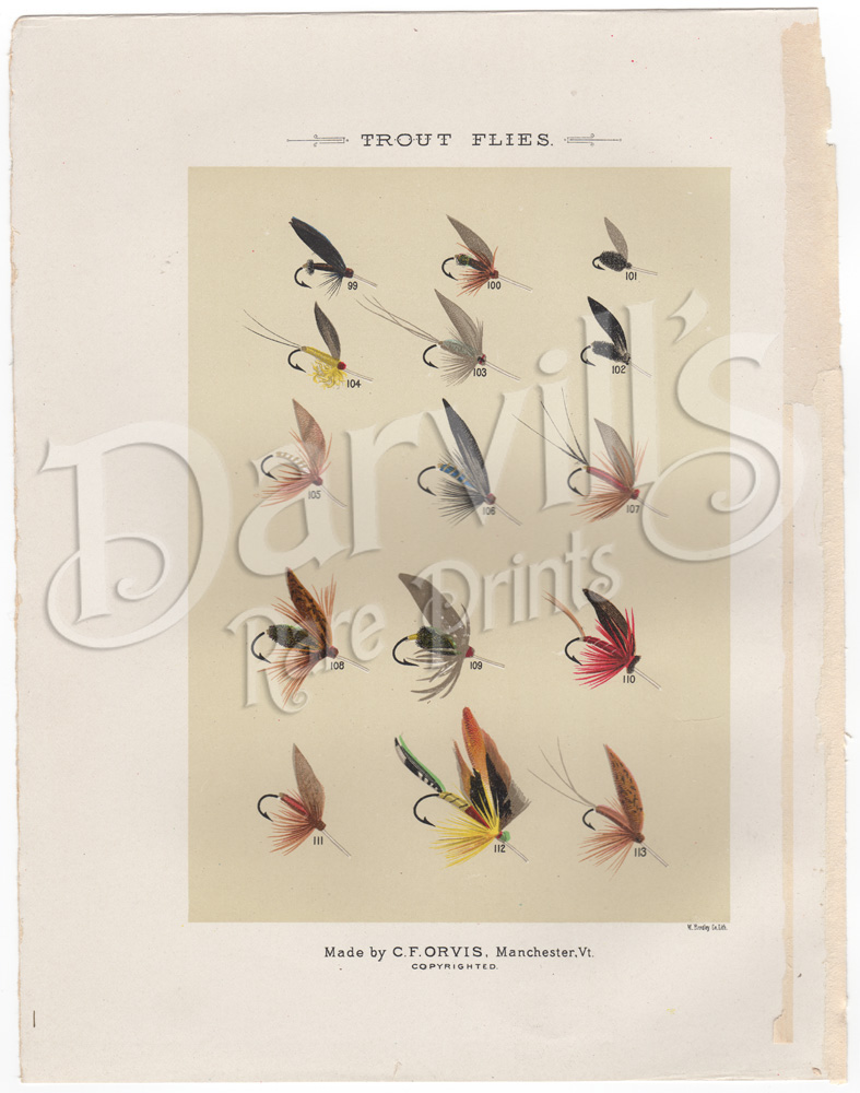 Favorite Flies and Their Histories Mary Orvis Marbury (1892) original antique fly fishing print