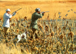 Game bird hunting 1946