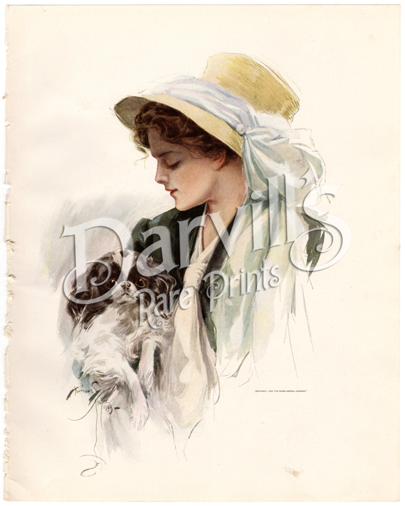 American Beauties Antique Prints By Harrison Fisher 1909