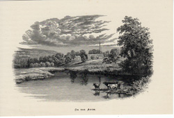 ON THE AVON