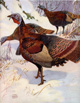 Lynn Bogue Hunt bird prints