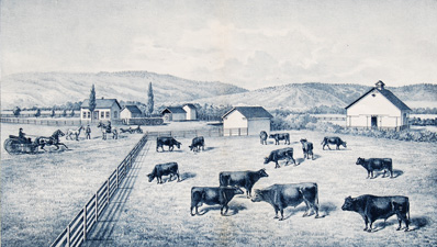 RANCH AND FARM RESIDENCE OF S.A. GEDDIS, NEAR ELLENSBURGH, W.T.