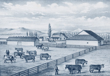 FARM RESIDENCE OF JOSEPH M. SHELTON