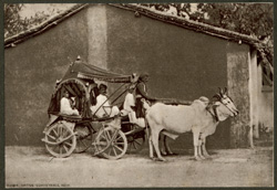 Native Conveyance, India