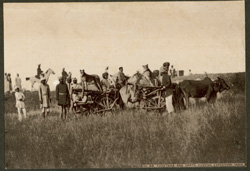 Cheetahs and Carts, Hunting Expedition, India