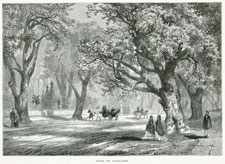 The Oaks of Oakland