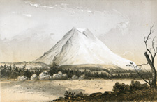Mount Rainier viewed from near Steilacoom