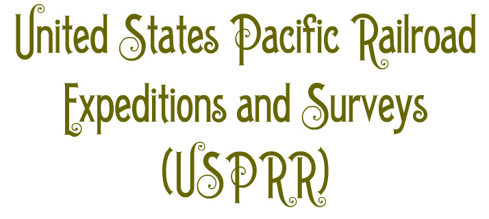 USPRR United States Pacific Railroad Expeditions and Surveys