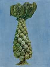 BRUSSELS SPROUTS