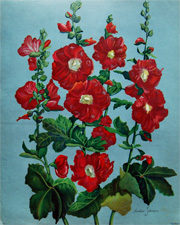 Original vintage calendar/poster prints of florals from 1910s-1940s