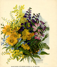 Vintage calendar art of flowers