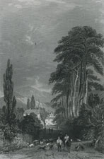 Approach to Ambleside, Westmorland