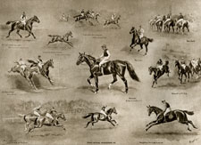 GRAND NATIONAL, 1904