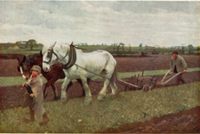 Ploughing