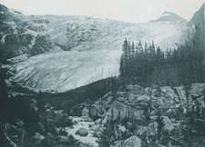 The Great Glacier of the Selkirks, Near Glacier House