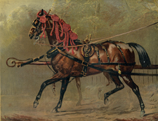 A State Carriage Horse