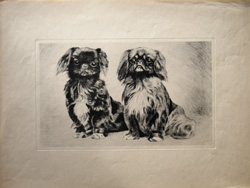 Antique dog photogravure