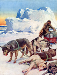 Eskimo Dogs