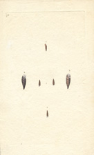 REVERSED, OR OAT