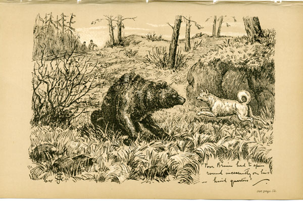 Poor Bruin had to spin round incessantly on his hind quarters