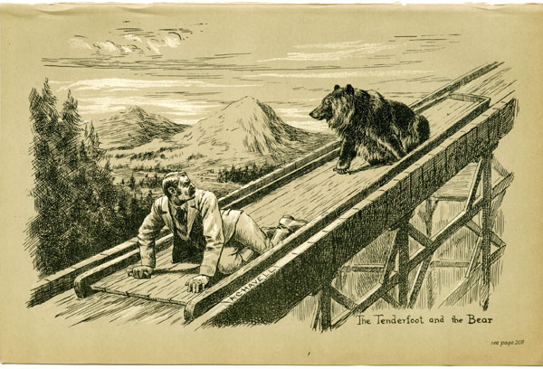 The Tenderfoot and the Bear