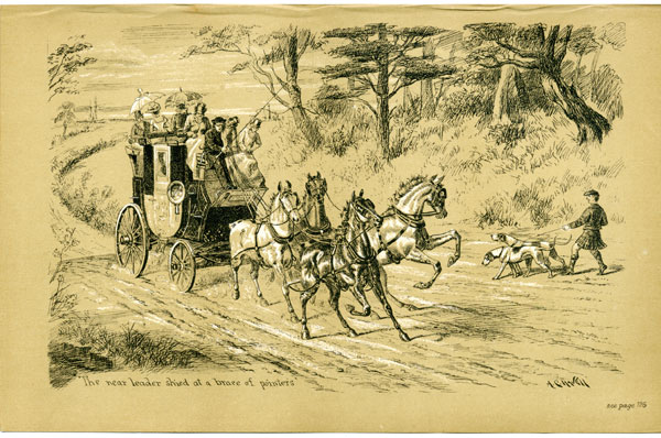 The near leader shied at a brace of pointers