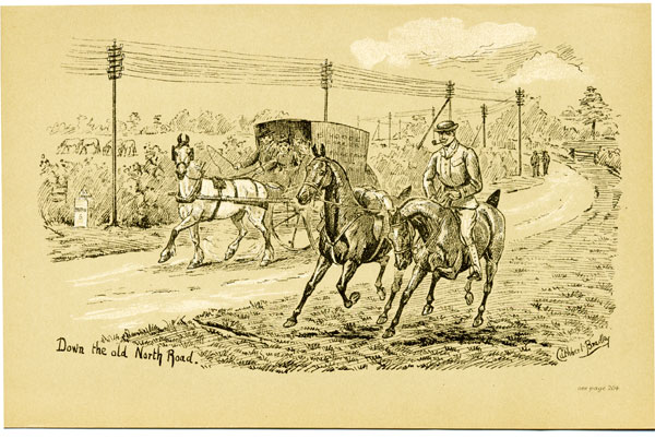 Down old North Road