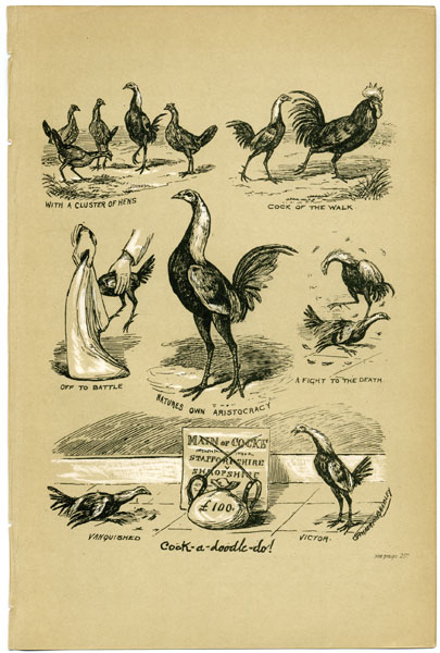 Cock-a-doodle-do!