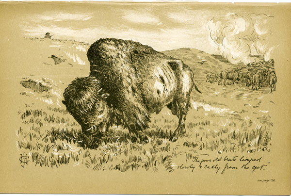 The poor old brute limped slowly and sadly from the spot