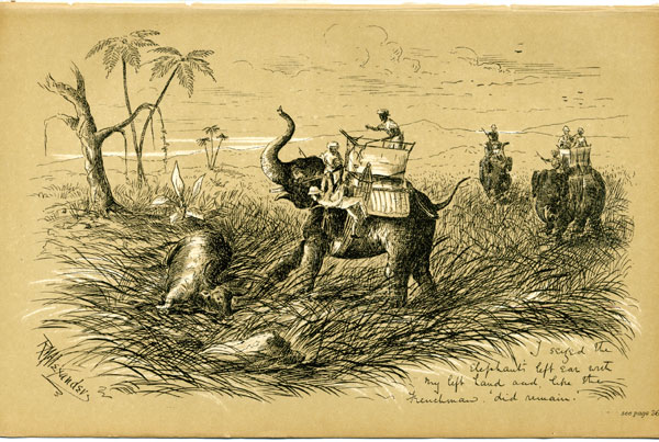 I seized the elephant's left ear with my left hand and, like the Frenchman 'did remain.'