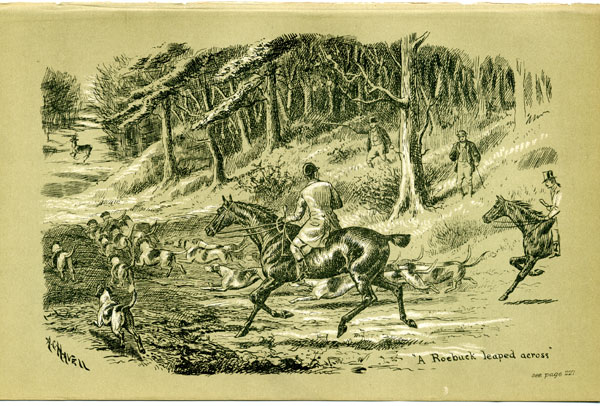 A Roebuck leaped across