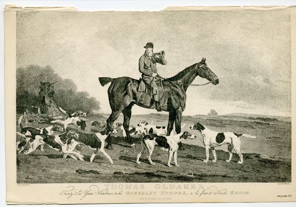 Thomas Oldaker, Twenty-Six Years Huntsman to the Berkeley Hounds, on his favourite Hunter Brush