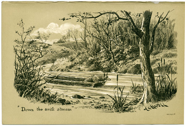 Down the swift stream