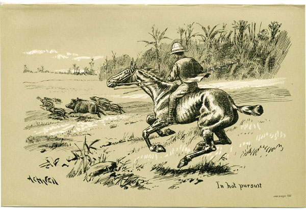 In hot pursuit